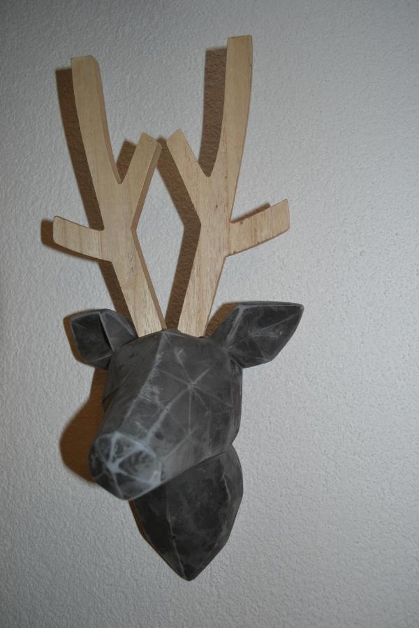 Aurach am HongarBiohof Auinger, Der Tiererlebnishof公寓 外观 照片