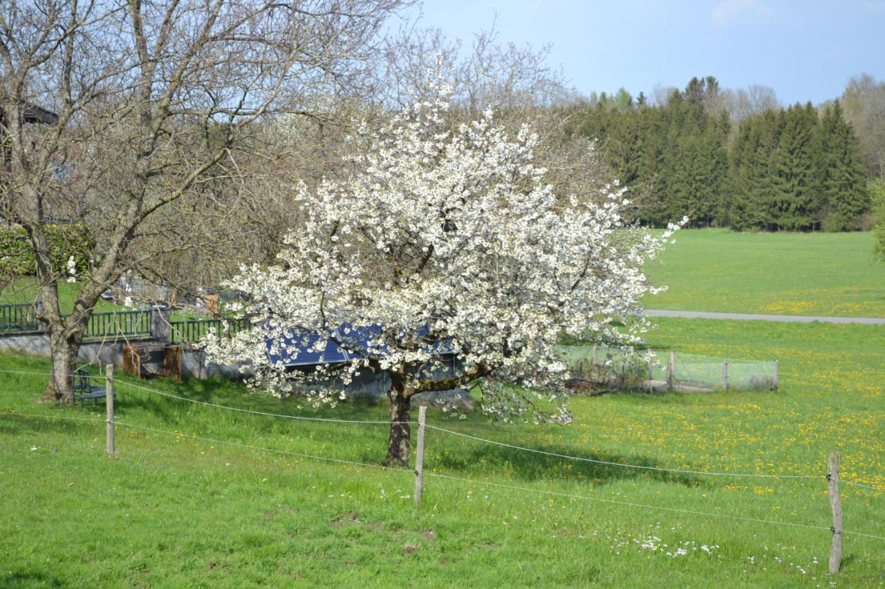 Aurach am HongarBiohof Auinger, Der Tiererlebnishof公寓 外观 照片