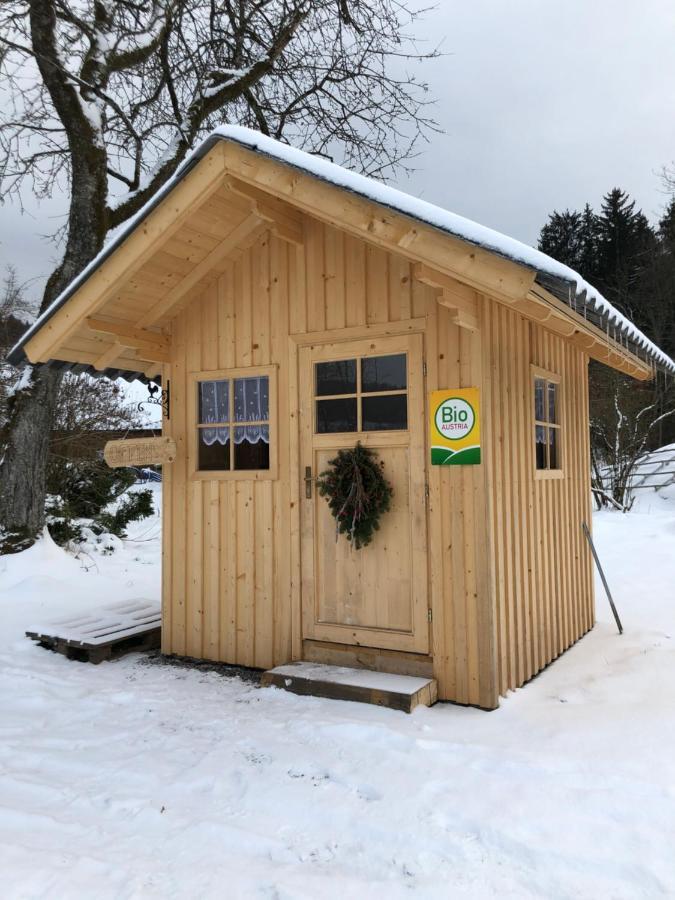 Aurach am HongarBiohof Auinger, Der Tiererlebnishof公寓 外观 照片
