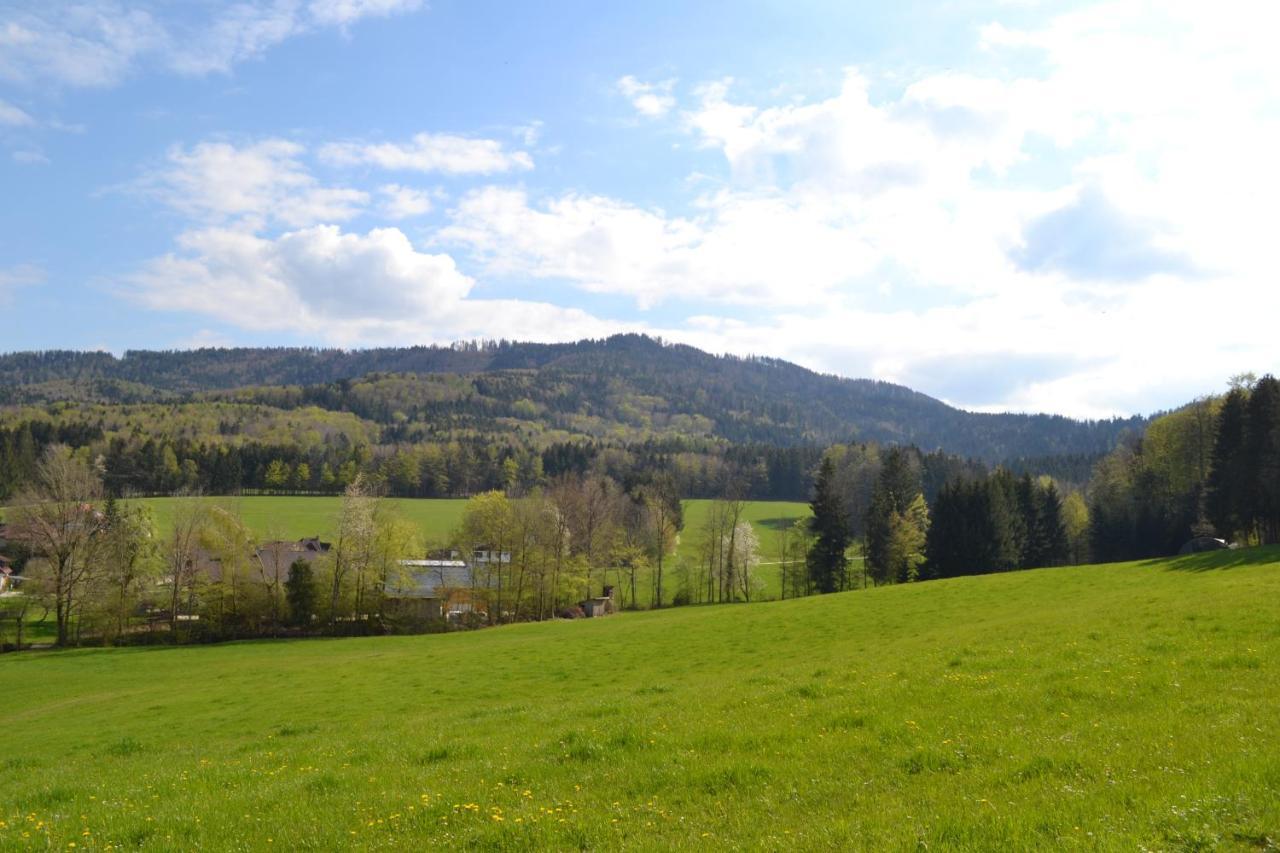 Aurach am HongarBiohof Auinger, Der Tiererlebnishof公寓 外观 照片