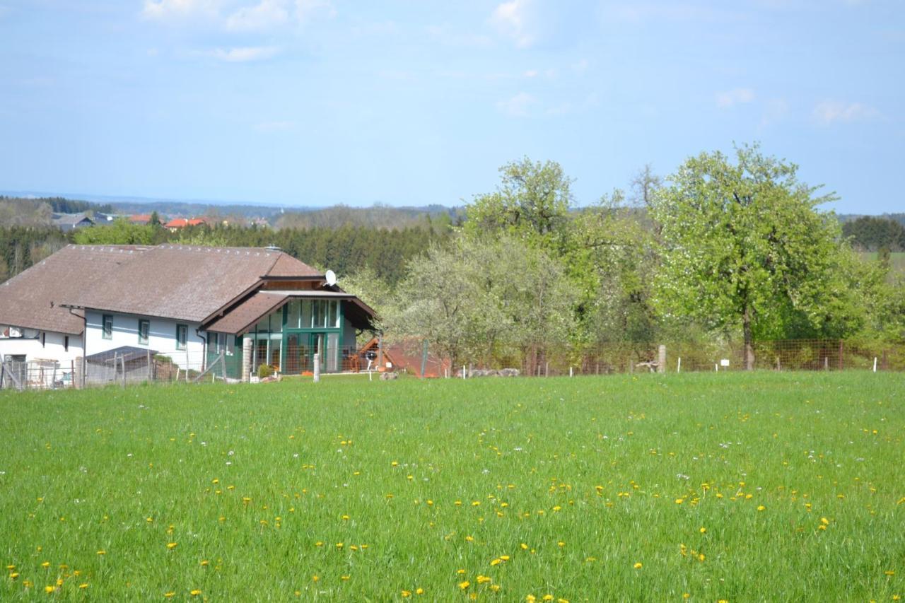 Aurach am HongarBiohof Auinger, Der Tiererlebnishof公寓 外观 照片